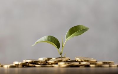 Nigeria’s Start-Up Funding Ecosystem and Trends—Opportunity For More Secure Funding For Start-Ups And SMEs In Nigeria.